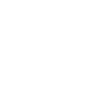 Supported player count